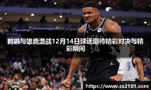 鹈鹕与雄鹿激战12月14日球迷期待精彩对决与精彩瞬间